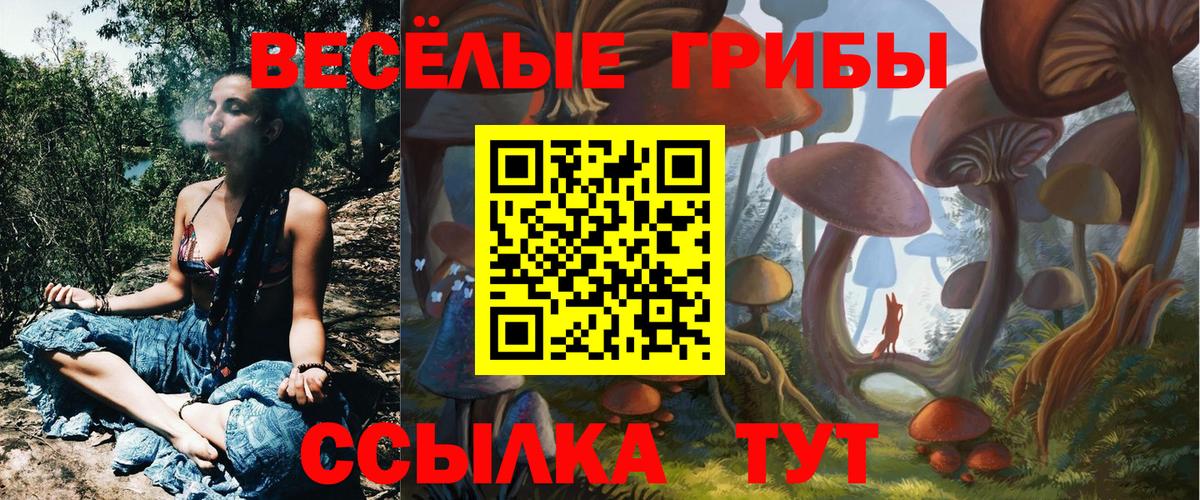 Псилоцибиновые грибы GOLDEN TEACHER  Вход с VPN  Сибай 