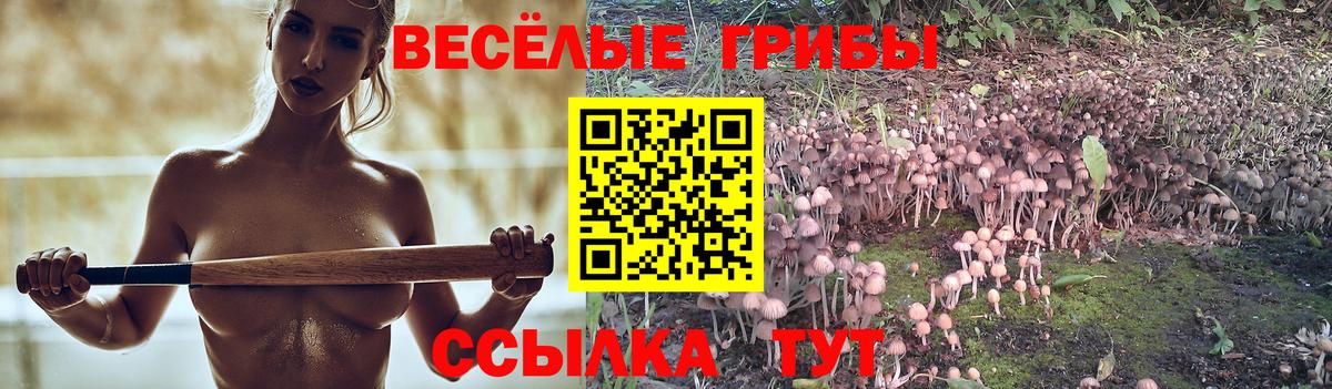 Псилоцибиновые грибы Magic Shrooms Сибай